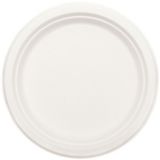 Eco-Friendly White Sugar Cane Dinner Plates, 50-pk | Amscannull