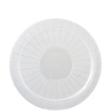 Clear Plastic Frosted Platter | Amscannull