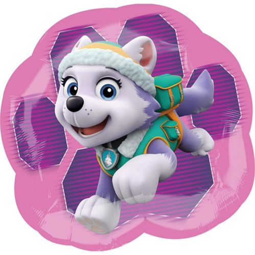 Paw Patrol Skye and Everest Balloon, 25-in Product image