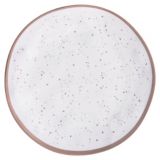 Plastic Melamine Plates, 10.5-in, Rose Gold | Amscannull