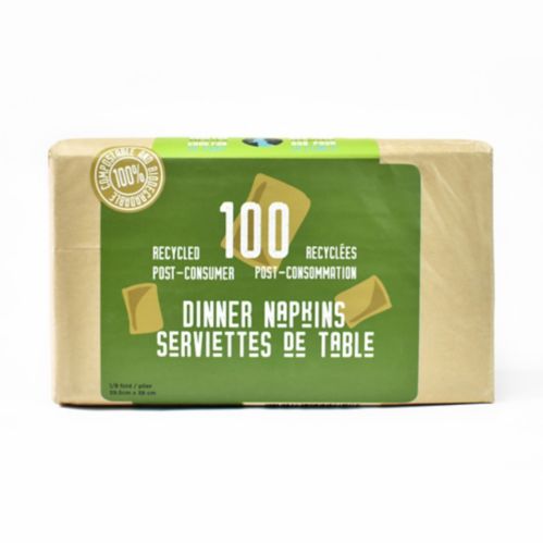 Ice River Recycled Paper Dinner Napkins, 100-pk Product image
