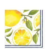 Serviettes de table citron, paq. 16