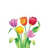 Serviettes de table à motif de tulipes du printemps, paq. 16