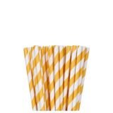 Striped Paper Straws, 24-ct | Amscannull