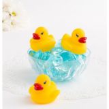 duck city rubber ducks