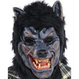 Child Rabid Werewolf Costume Party City