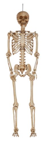 Squelette articulé de For Living, 5 pi Image de l’article