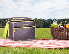 Coolers Ice Packs Canadian Tire