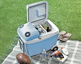 Electric Coolers Warmers Canadian Tire