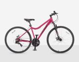 women's cruiser bike canadian tire