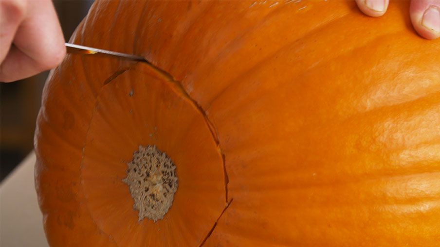 How to etch a pumpkin Canadian Tire