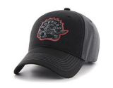 raptors championship hat sport chek