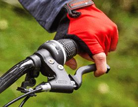 Bike Gloves
