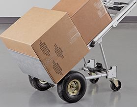 Carts Canadian Tire