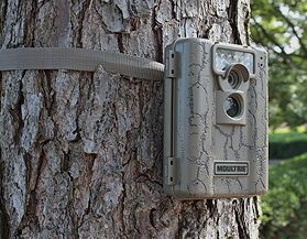 Game Trail Cameras Canadian Tire