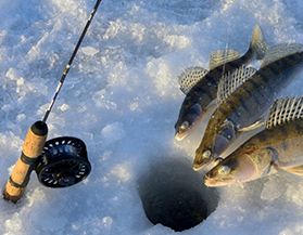 canadian tire ice fishing gear