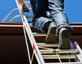 View All Ladders & Scaffolding