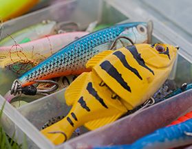Lures Baits Canadian Tire