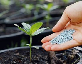 Engrais plantes et jardin