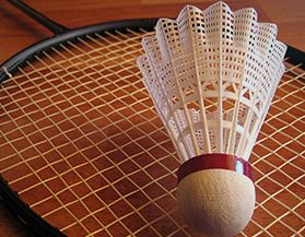 Shop all badminton products