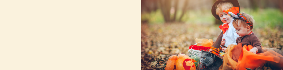 PRÉPAREZ-VOUS POUR L’HALLOWEEN  Trouvez des costumes amusants, des décorations lugubres et tout ce qu’il vous faut pour l’Halloween.