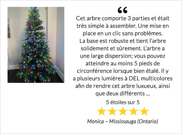 Arbres De Noel Et Accessoires Canadian Tire