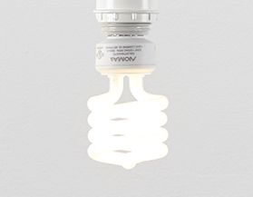 Shop NOMA CFL light bulbs.