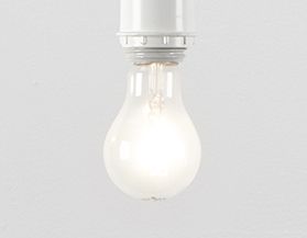 Shop NOMA halogen light bulbs.