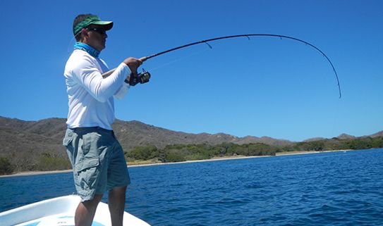 Graphite fishing rods are good for avid anglers.