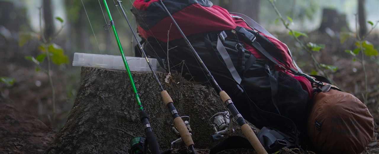 How to choose a fishing rod