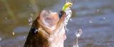 bass fishing equipment
