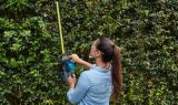 electric hedge trimmer canadian tire