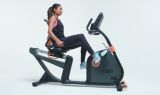 schwinn 270 recumbent bike canadian tire