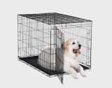 canadian tire dog house