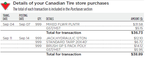 merchant cash advance *