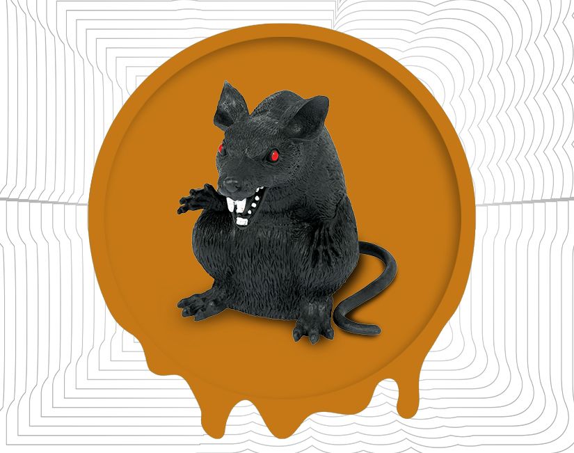 Rat diabolique