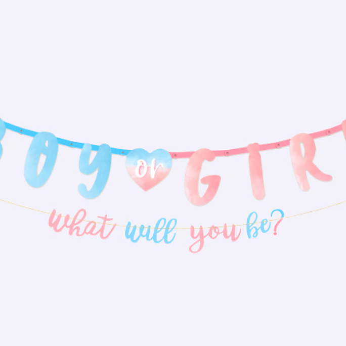 A pink and blue The Big Reveal jumbo letter banner kit that includes two hanging banners that read “Boy or Girl” and “what will you be?”