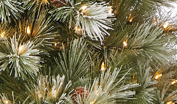 xmas tree branches