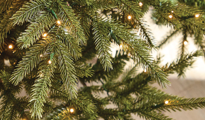xmas tree branches