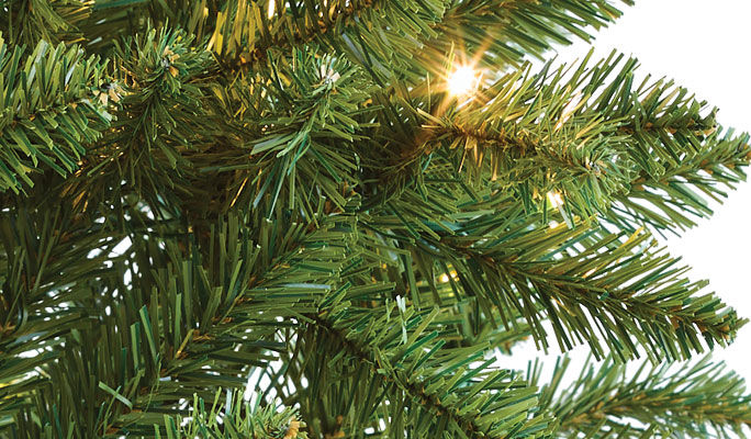 xmas tree branches