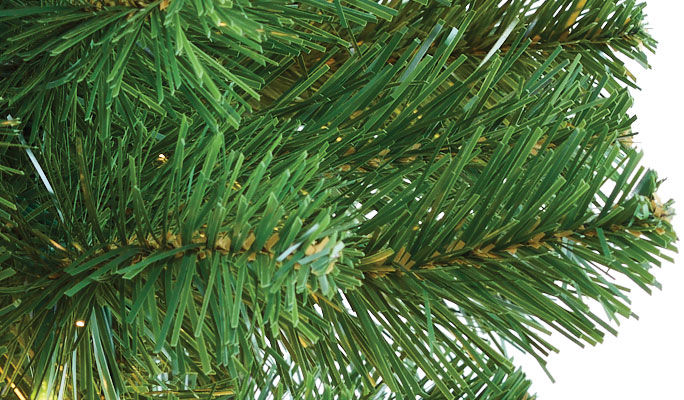 xmas tree branches