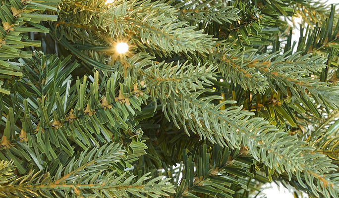 xmas tree branches