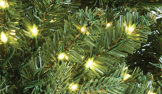 xmas tree branches