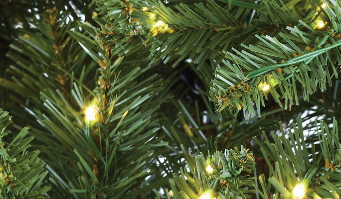 xmas tree branches
