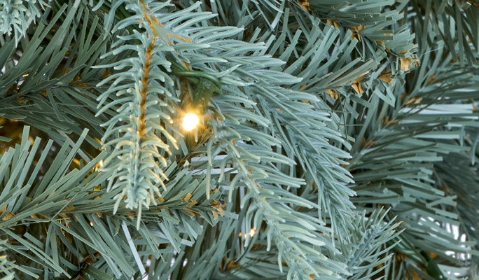 xmas tree branches