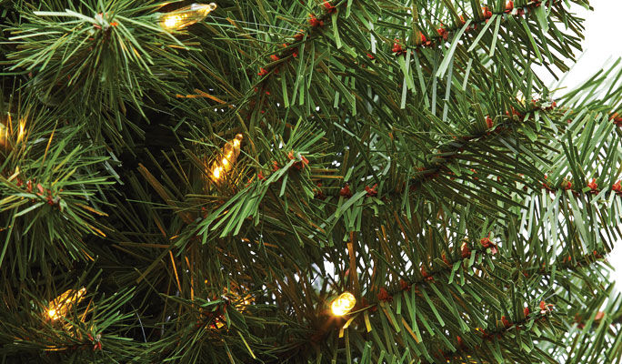xmas tree branches
