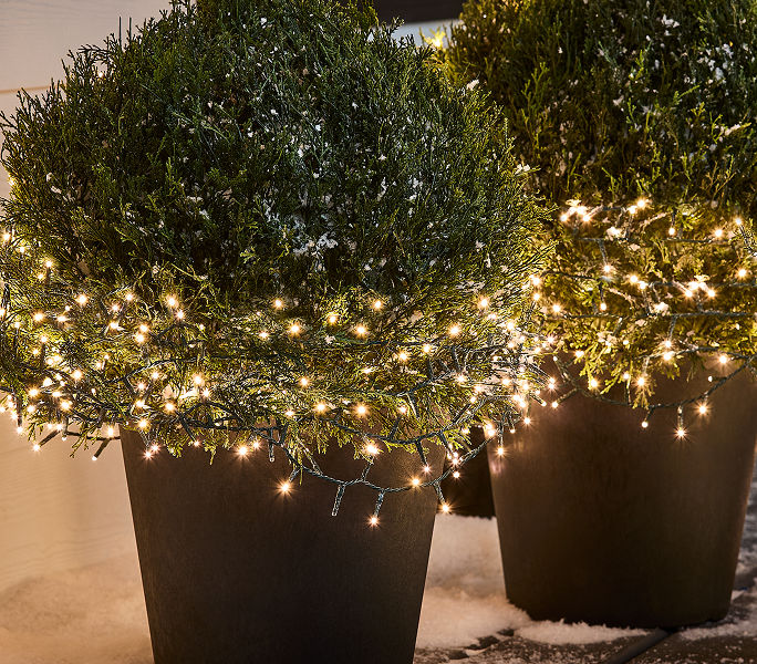 Outdoor shrubs wrapped in warm white cluster lights, creating a sparkling holiday display at night.