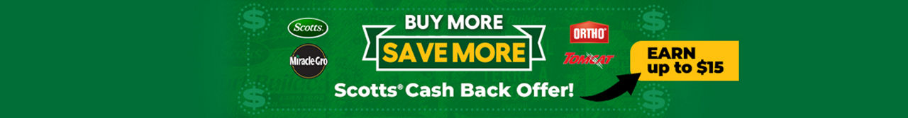 Buy More Save More