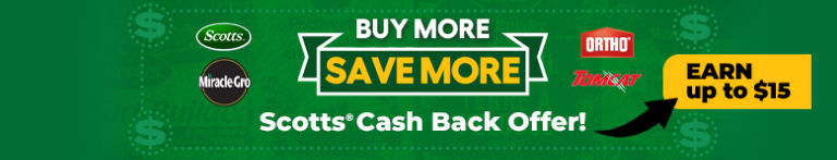 Buy More Save More